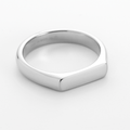 Premium 316L Stainless Steel Ring